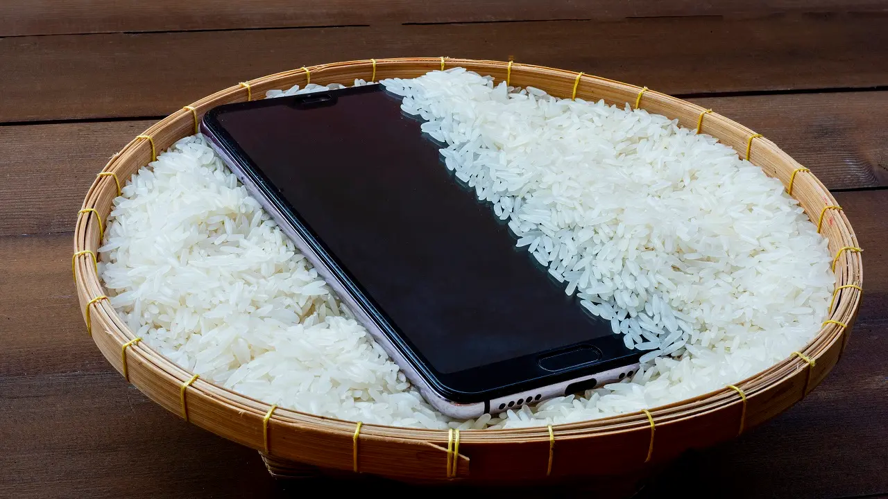 Seu celular caiu na água? Veja como secá-lo de forma rápida